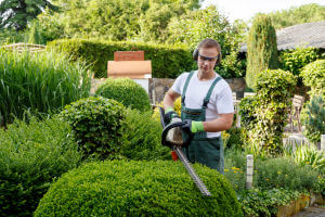 Shrub Pruning and Tree Trimming Service