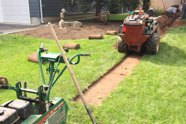 Front and Backyard Drainage Systems Front and Backyard Drainage Systems